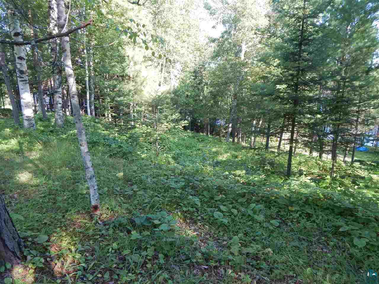 607 Kellys Lots Road Ely, MN 55731 - Photo 35 of 35