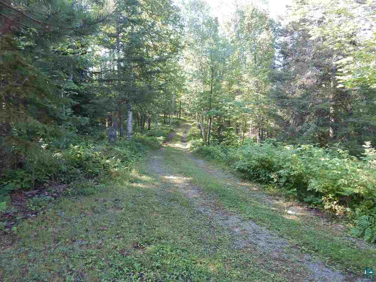 607 Kellys Lots Road Ely, MN 55731 - Photo 6 of 35