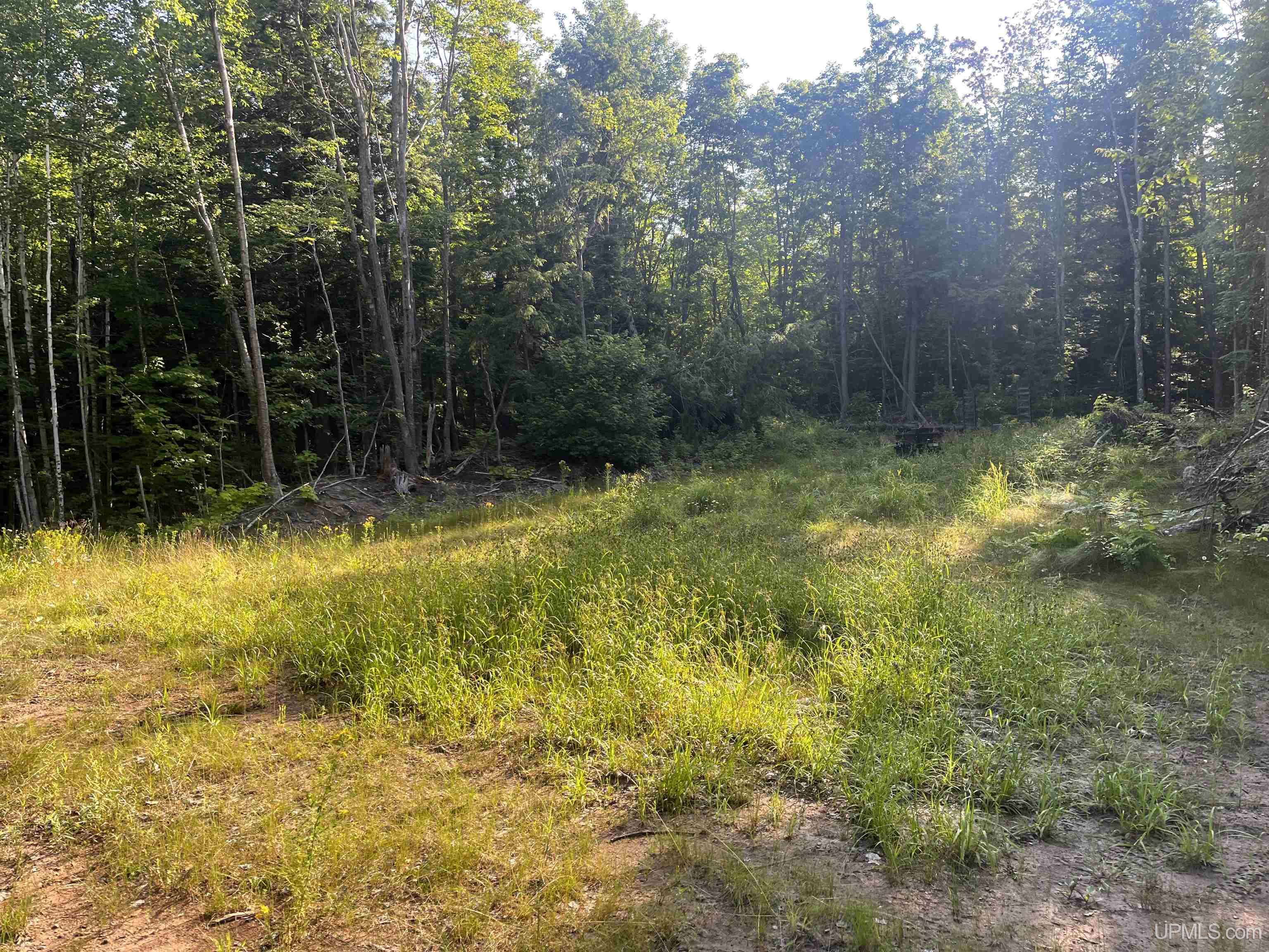 510 Rd Ishpeming Mi 49849 Road Negaunee, MI 49866 - Photo 5 of 33