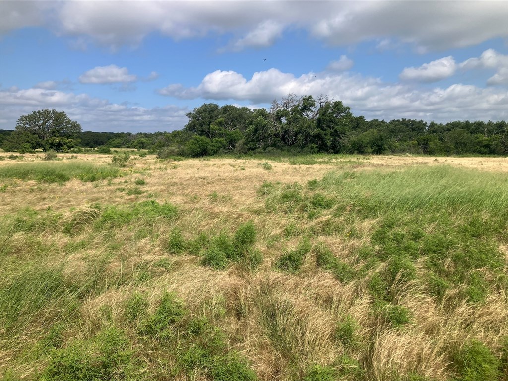 4605 West Ranch Road Mason, TX 76856 - Photo 19 of 26