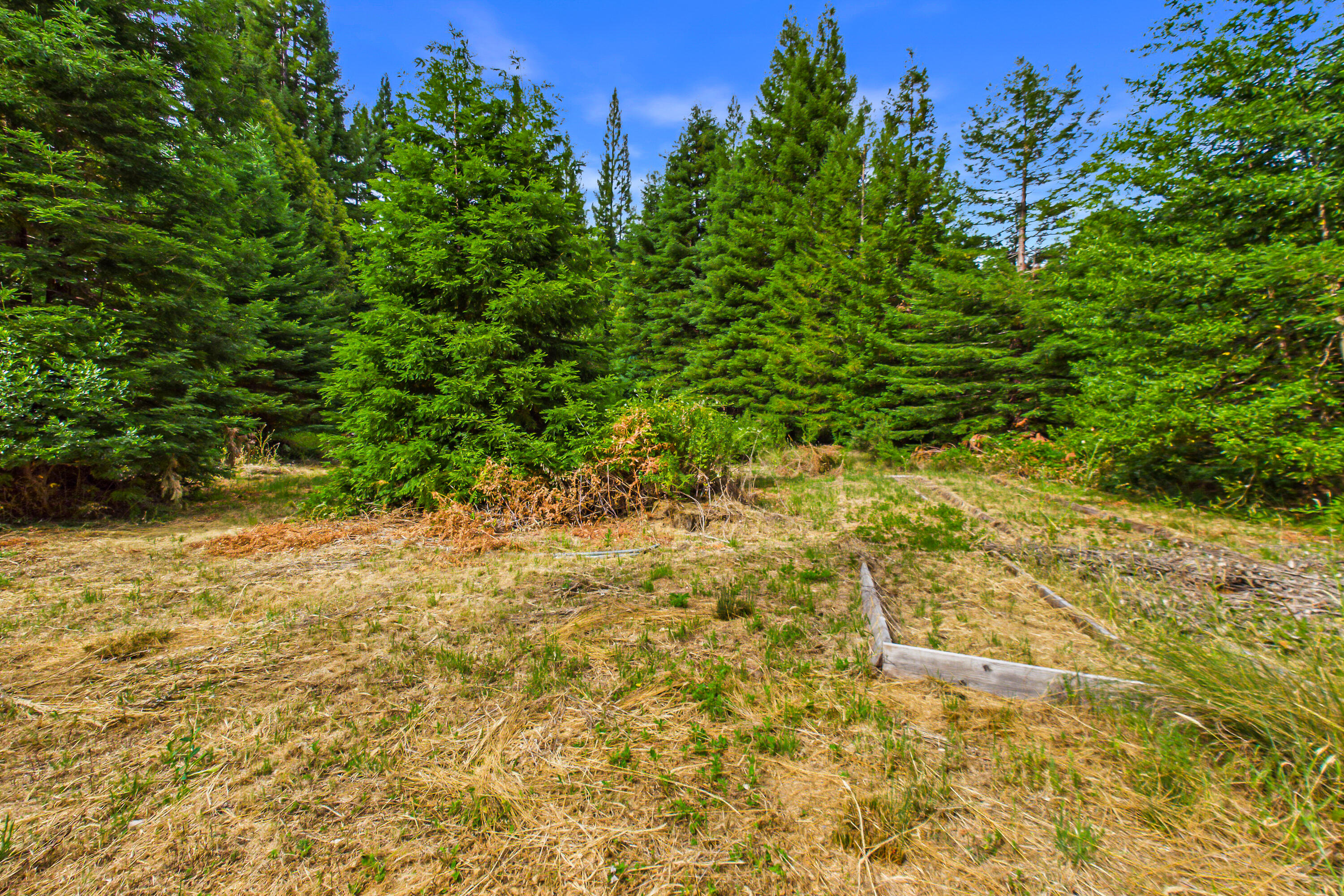 1005 Twin Trees Road Garberville, CA 95542 - Photo 74 of 84