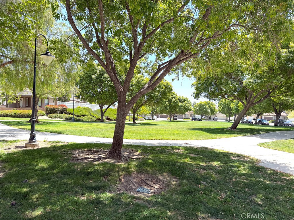32985 Novara Court Temecula, CA 92592 - Photo 54 of 56 Expansive Neighborhood Greenbelt With Mature Trees And Scenic Walking Trails