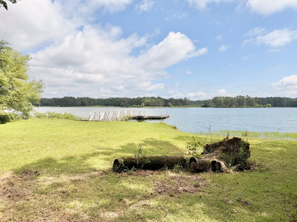 97 County Road 97 Abbeville, AL 36310 - Photo 11 of 15
