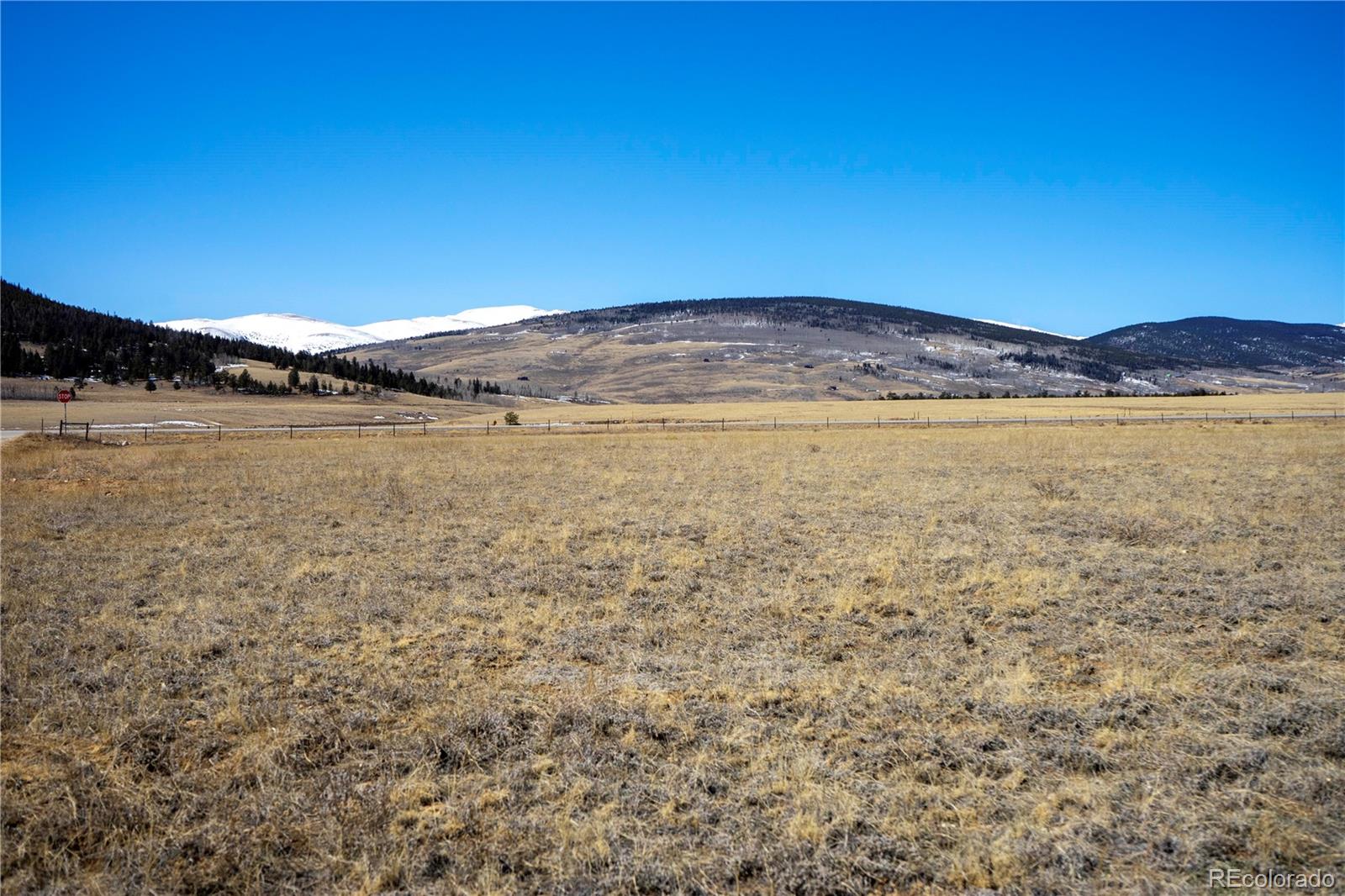 107 Trout Road Fairplay, CO 80440 - Photo 2 of 10 Gallery Image 2