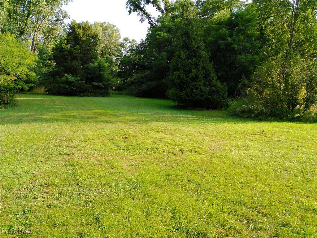 5476 Chippewa Road Medina, OH 44215 - Photo 16 of 30 View of green lawn
