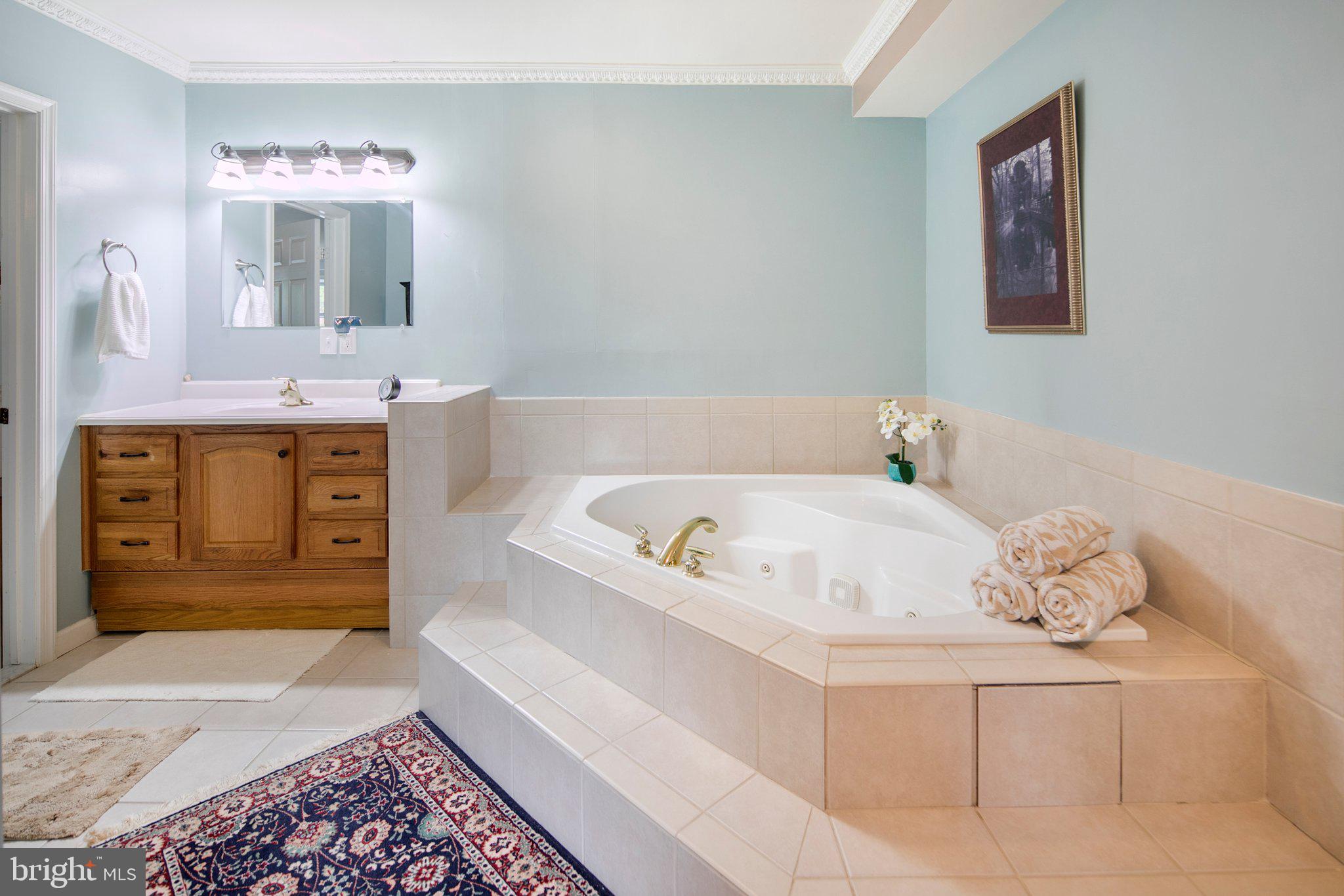 10314 Putman Road Frederick, MD 21702 - Photo 16 of 28 Soaking Tub