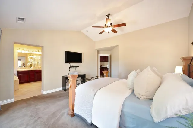 a view of backyard with tree