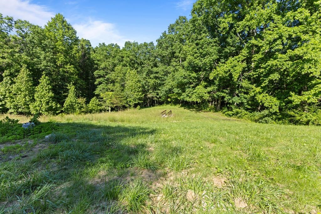 2540 Gatewood Ford Road Deer Lodge, TN 37726 - Photo 23 of 26