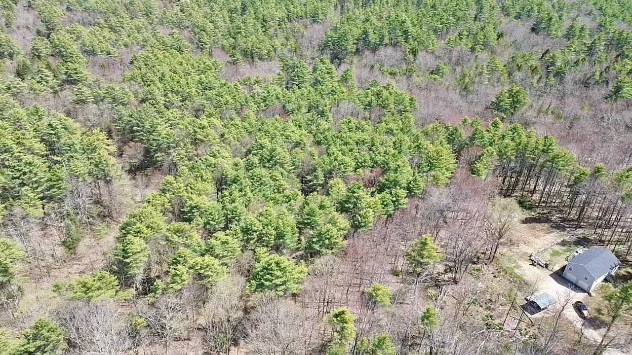 89 Cooke Road Barnstead, NH 03225 - Photo 40 of 45