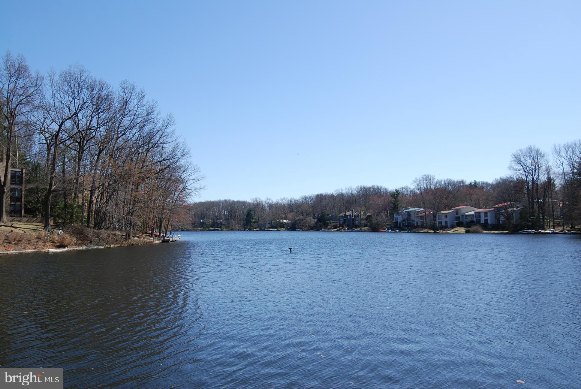 1413 Northgate Square, Unit 2A Reston, VA 20190 - Photo 18 of 23 Nearby Lake Anne