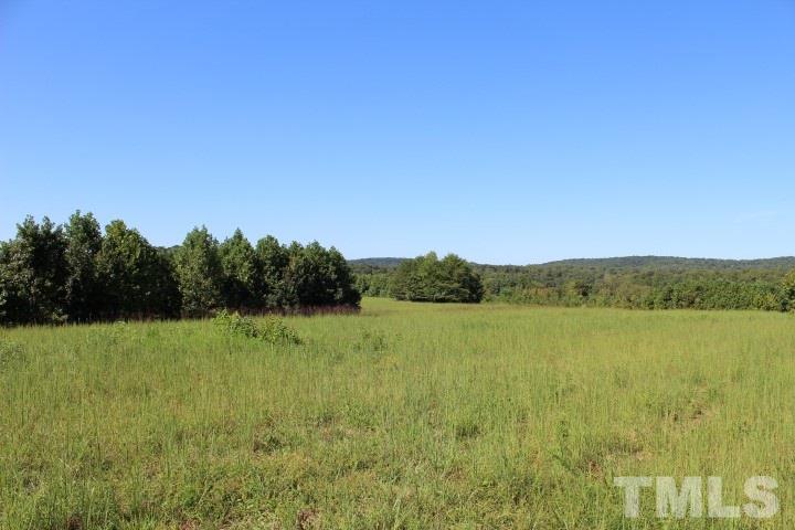 2387 Red Mountain Road Rougemont, NC 27572 - Photo 1 of 7