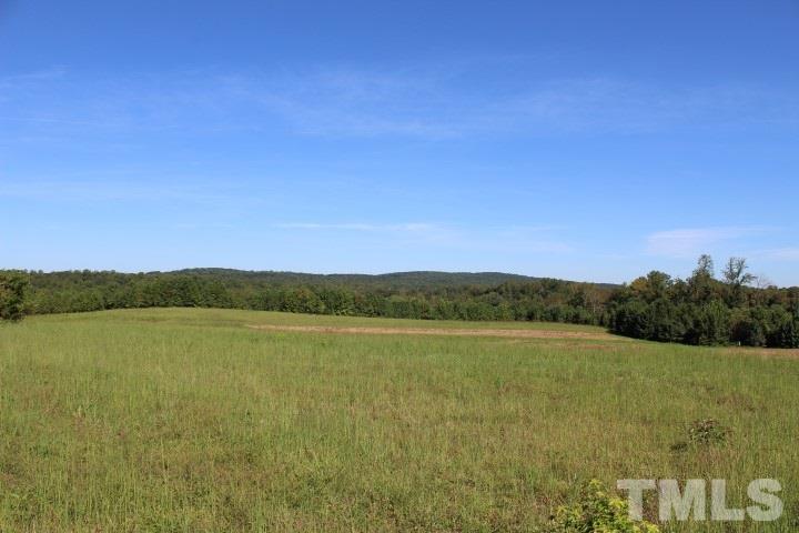 2387 Red Mountain Road Rougemont, NC 27572 - Photo 2 of 7