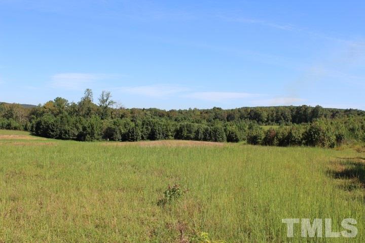 2387 Red Mountain Road Rougemont, NC 27572 - Photo 3 of 7