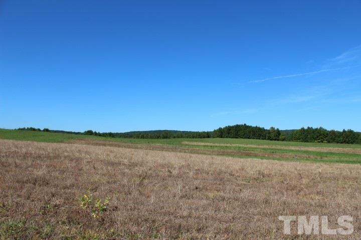 2387 Red Mountain Road Rougemont, NC 27572 - Photo 4 of 7