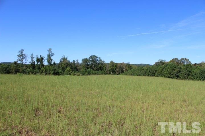 2387 Red Mountain Road Rougemont, NC 27572 - Photo 5 of 7