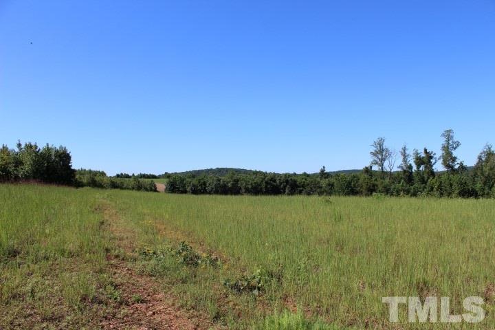 2387 Red Mountain Road Rougemont, NC 27572 - Photo 6 of 7