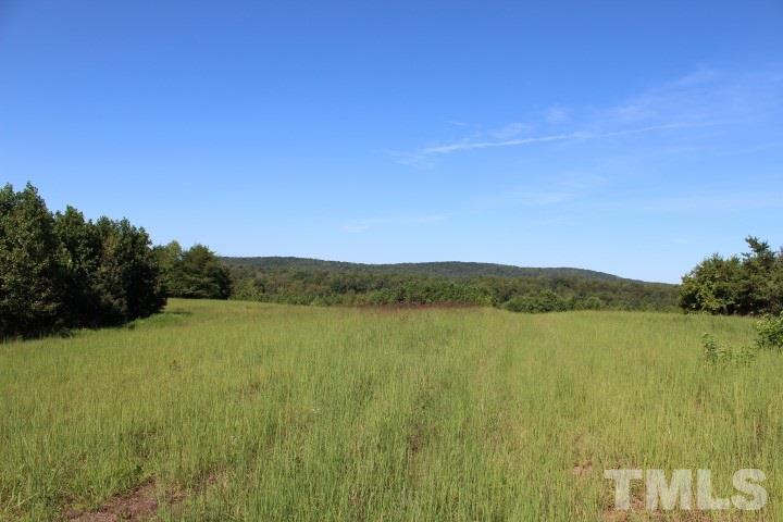 2387 Red Mountain Road Rougemont, NC 27572 - Photo 7 of 7