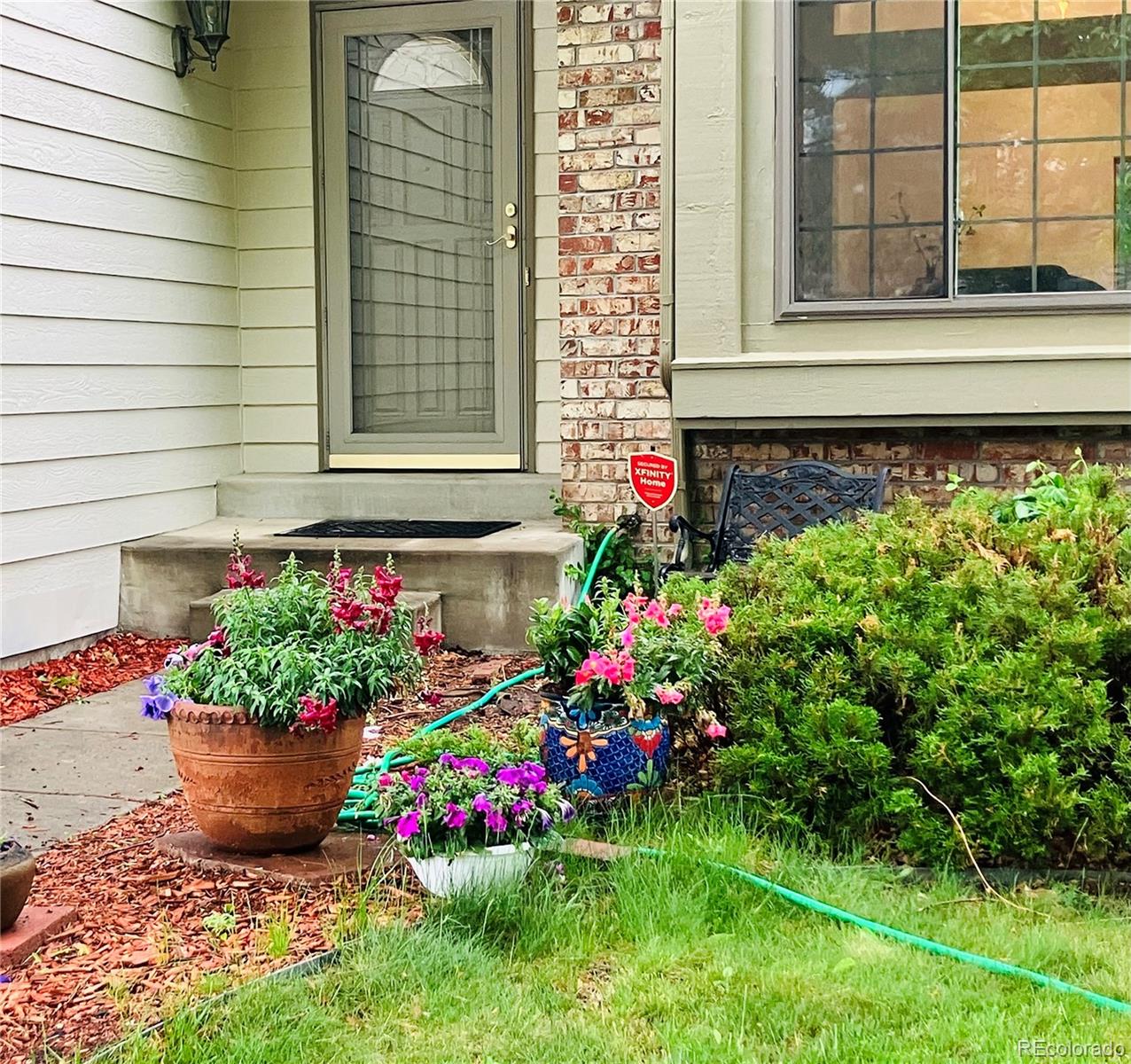 6868 Johnson Street Arvada, CO 80004 - Photo 38 of 39 a view of a potted plant sitting in front of a house