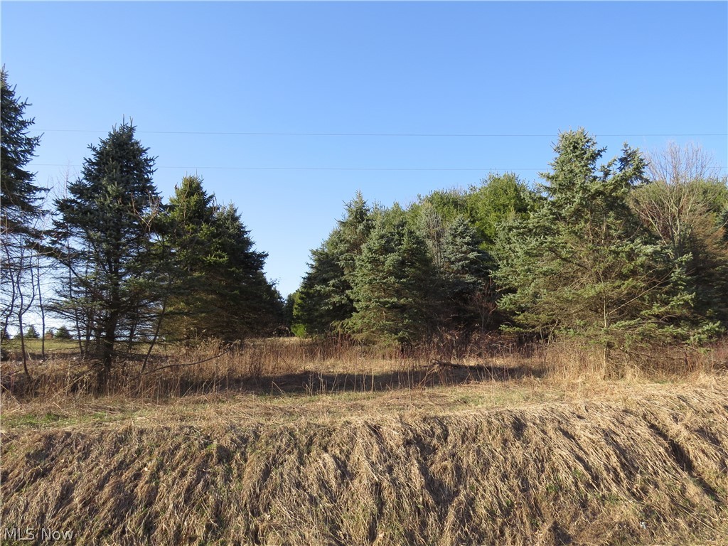 Nectar Road Salineville, OH 43945 - Photo 6 of 15 Gallery Image 6