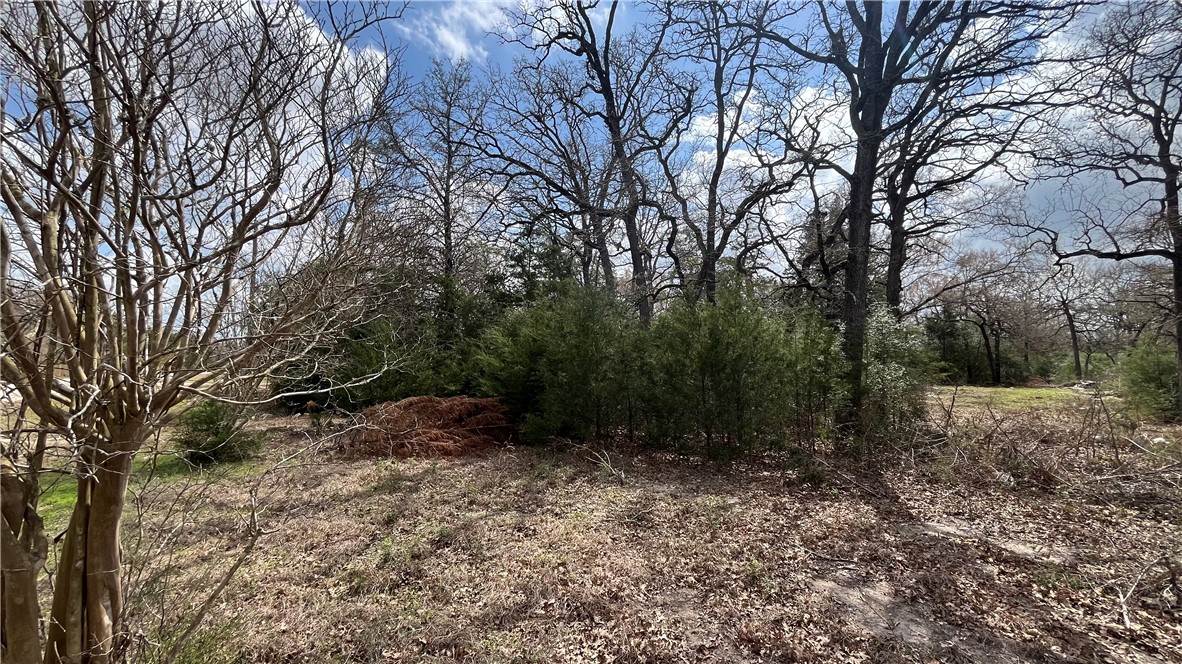 11566 Woodglen Circle Bryan, TX 77808 - Photo 2 of 6 a backyard of a house with lots of green space