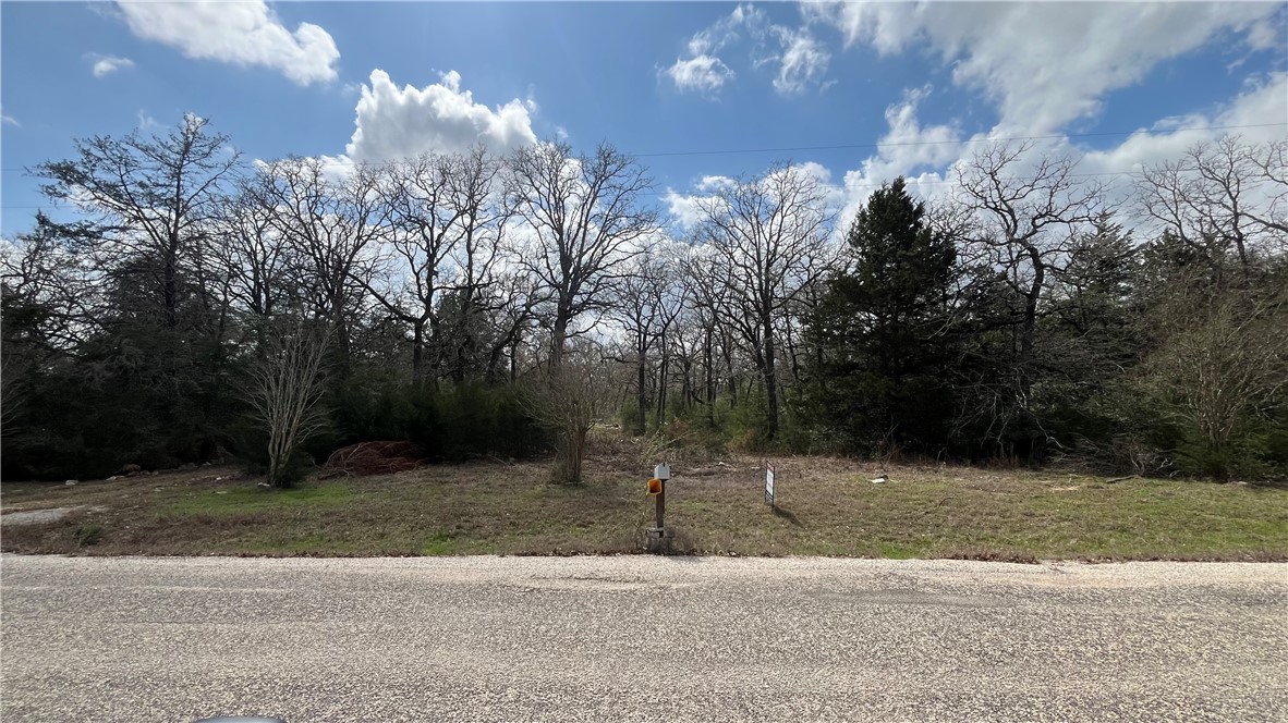 11566 Woodglen Circle Bryan, TX 77808 - Photo 3 of 6 a backyard of a house with lots of green space