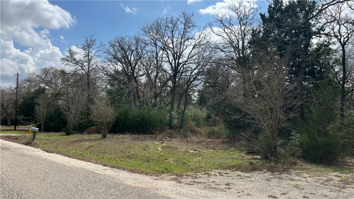 11566 Woodglen Circle Bryan, TX 77808 - Photo 4 of 6 a backyard of a house with lots of green space
