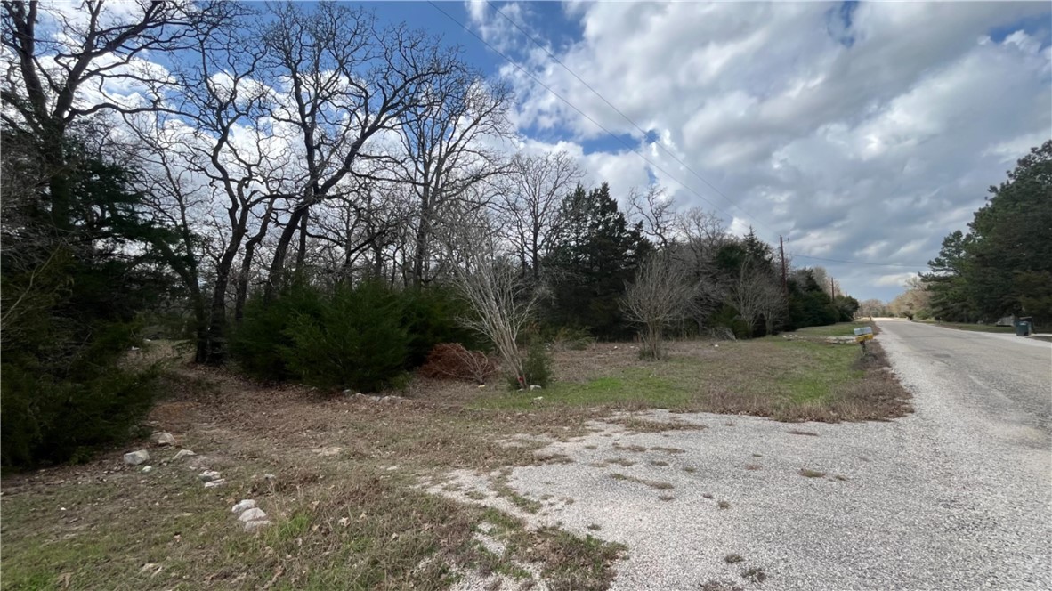 11566 Woodglen Circle Bryan, TX 77808 - Photo 5 of 6 a view of outdoor space with trees all around