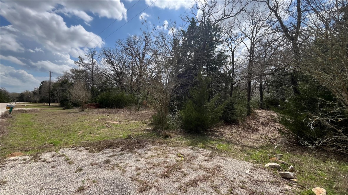 11566 Woodglen Circle Bryan, TX 77808 - Photo 6 of 6 a view of a yard with trees