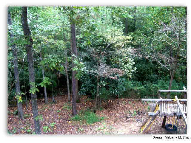 5243 Memory Lane Mount Olive, AL 35117 - Photo 2 of 20