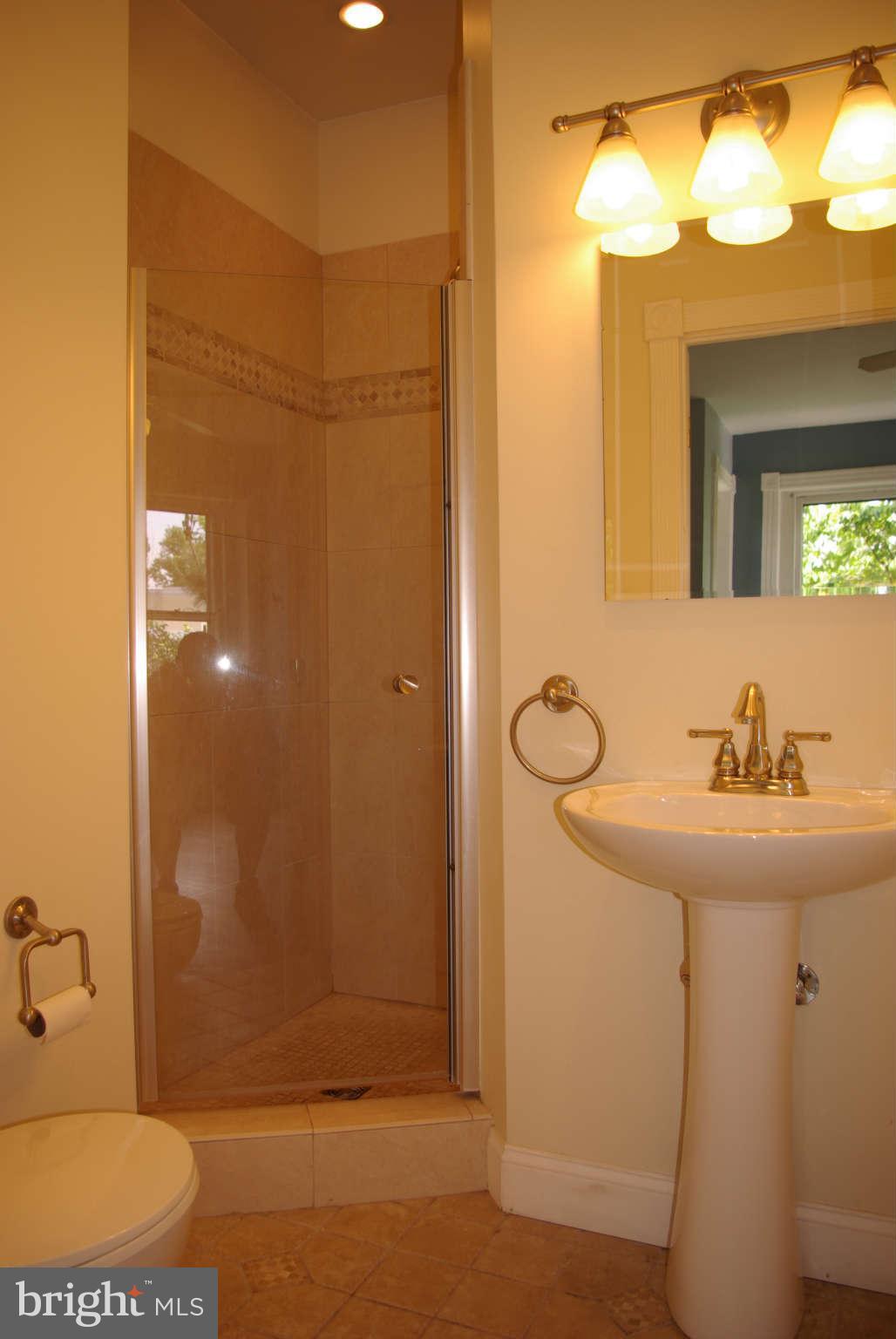 717 E Street Northeast Washington, DC 20002 - Photo 18 of 30 NEW master bath with stall shower