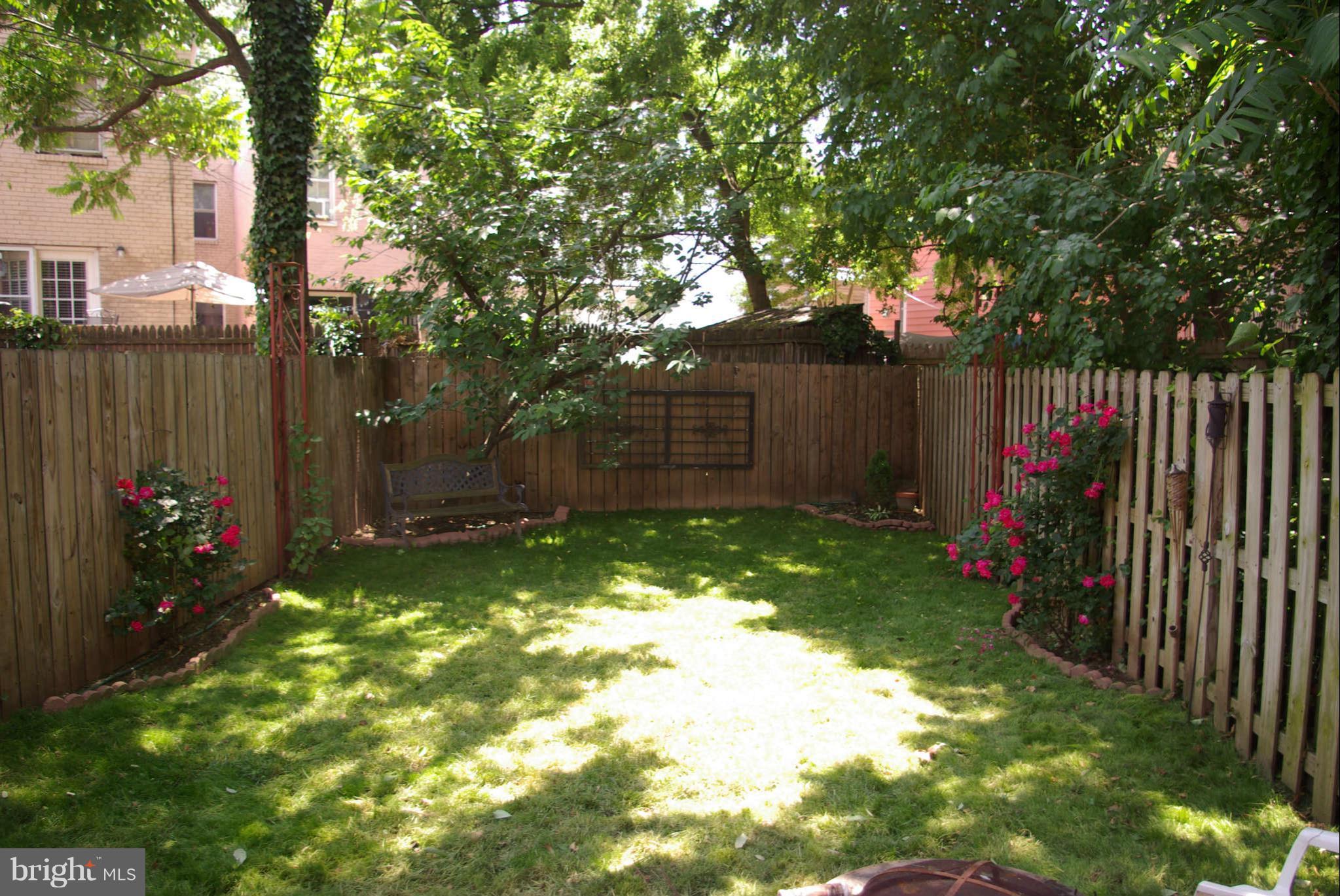 717 E Street Northeast Washington, DC 20002 - Photo 27 of 30 DEEP grassy backyard, plus patio, and side access