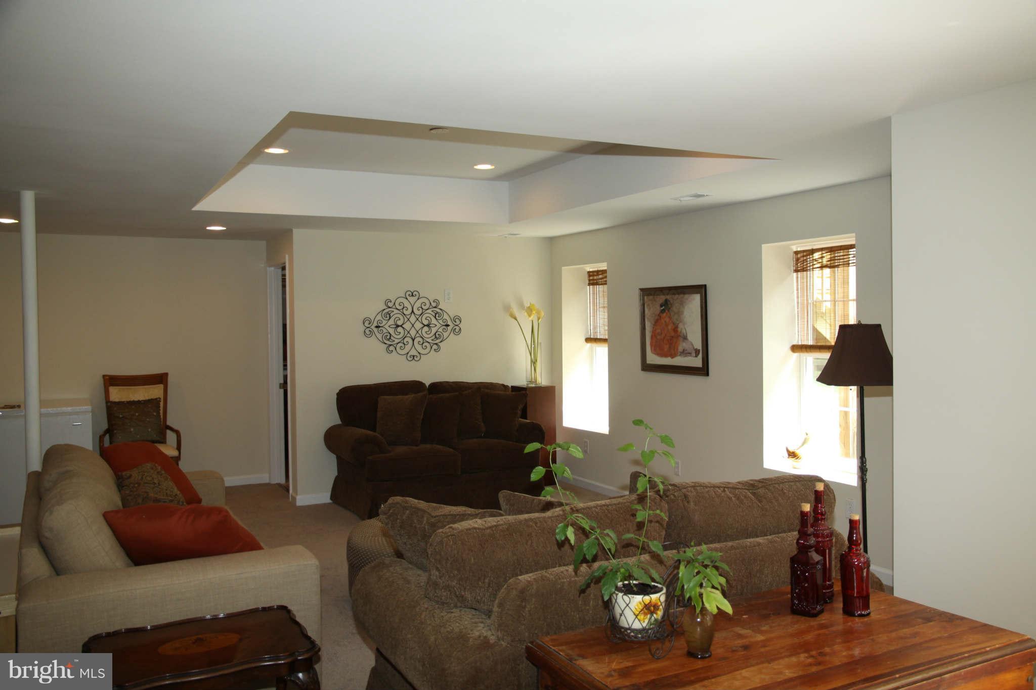 9050 Roaring Spring Loop Bristow, VA 20136 - Photo 29 of 30 Basement