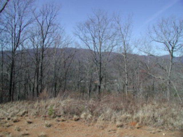 3 Rd/left Owassa Road Murphy, NC 28906 - Photo 2 of 2