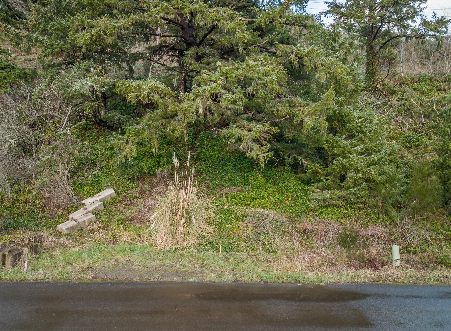 224 Happy Camp Road Tillamook, OR 97141 - Photo 5 of 17 TL 224 Happy Camp