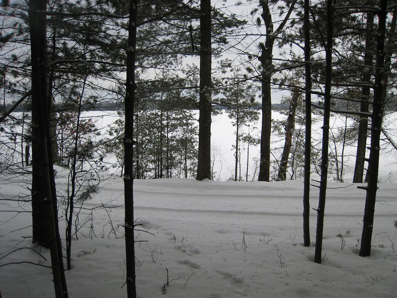 Lot #90 Camp St. George Road Eagle River, WI 54521 - Photo 7 of 16 Gallery Image 7