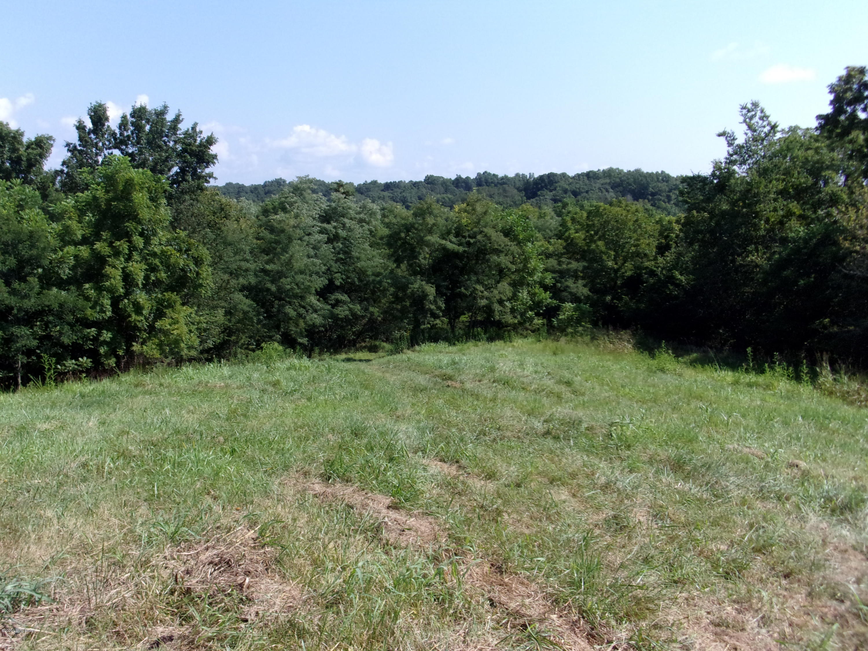 1655 Holt Ridge Road Bloomfield, KY 40008 - Photo 14 of 25 101_0995