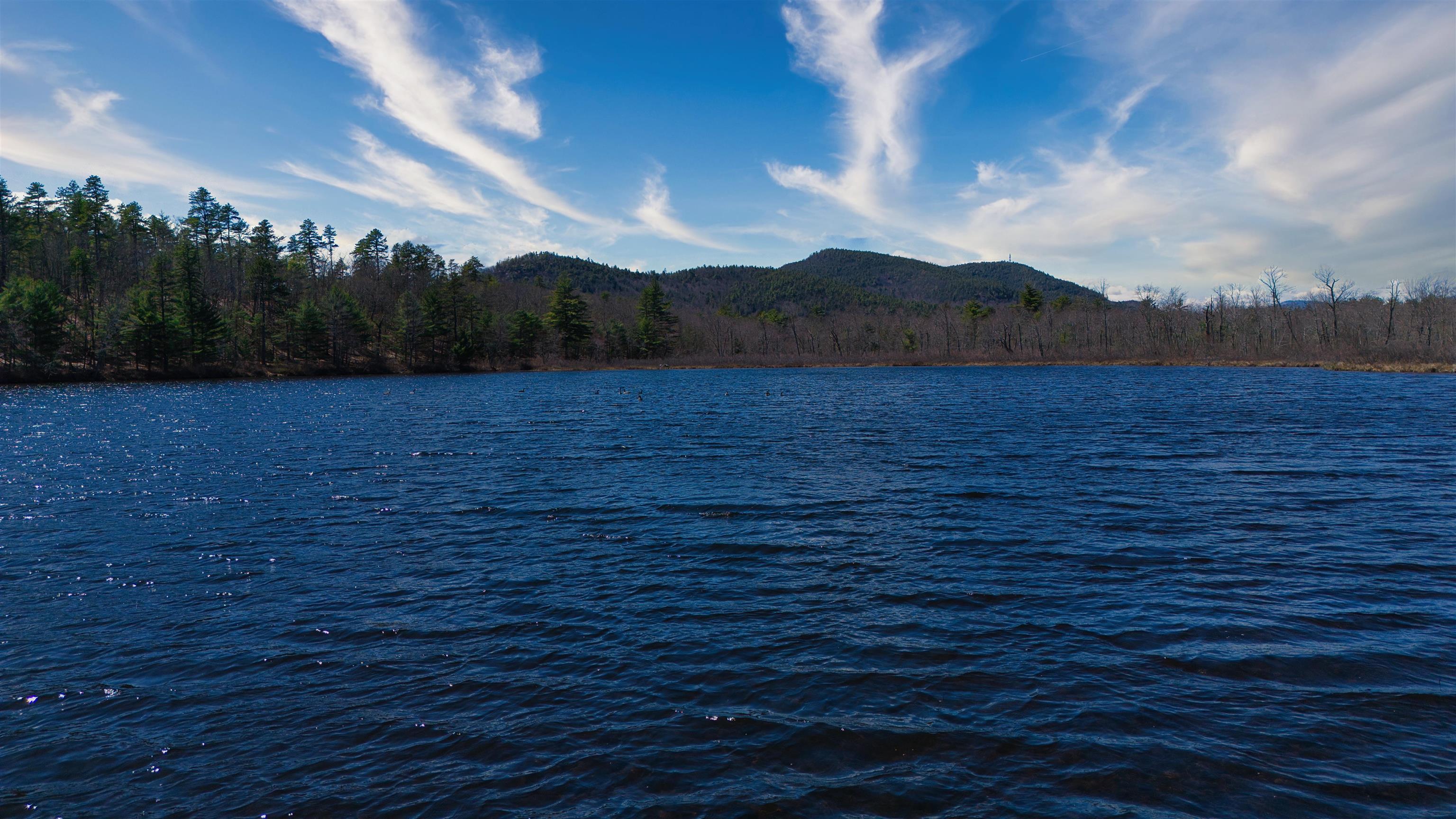 50 Patch Pond Road, Unit 13 Ossipee, NH 03814 - Photo 55 of 60