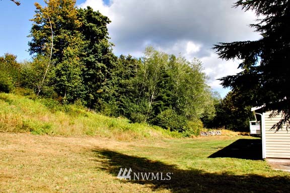 1061 West Beerbower Road Elma, WA 98541 - Photo 4 of 14 Gallery Image 4