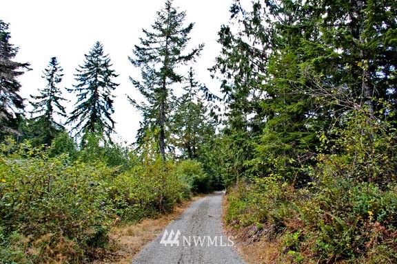 1061 West Beerbower Road Elma, WA 98541 - Photo 5 of 14 Gallery Image 5