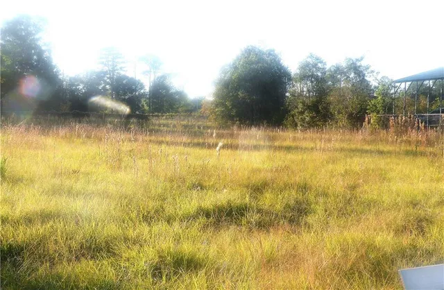 $225,000 | 0 43rd Highway, Albany, LA 70711