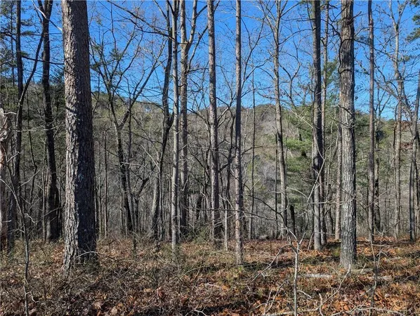 $14,000 | 1400 Foxhound Trail Northeast, Ranger, GA 30734