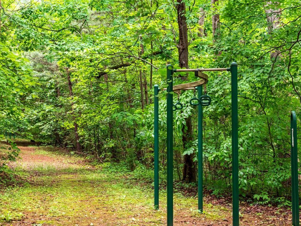 1400 Foxhound Trail Northeast Ranger, GA 30734 - Photo 13 of 19