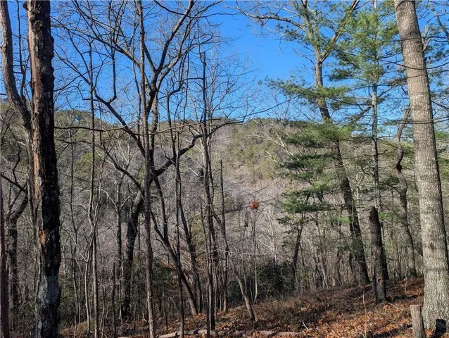 $14,000 | 1400 Foxhound Trail Northeast, Ranger, GA 30734