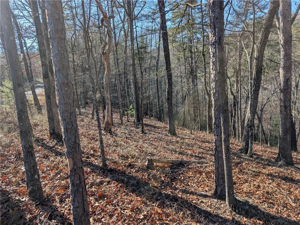 1400 Foxhound Trail Northeast Ranger, GA 30734 - Photo 3 of 19