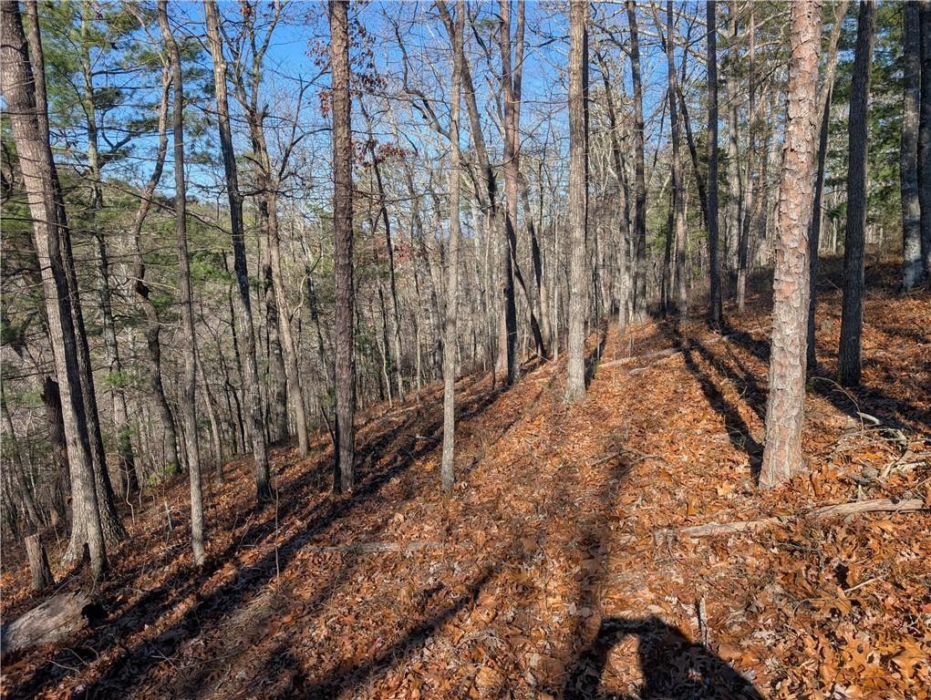 1400 Foxhound Trail Northeast Ranger, GA 30734 - Photo 4 of 19