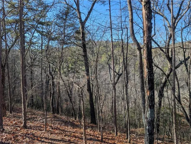 $14,000 | 1400 Foxhound Trail Northeast, Ranger, GA 30734