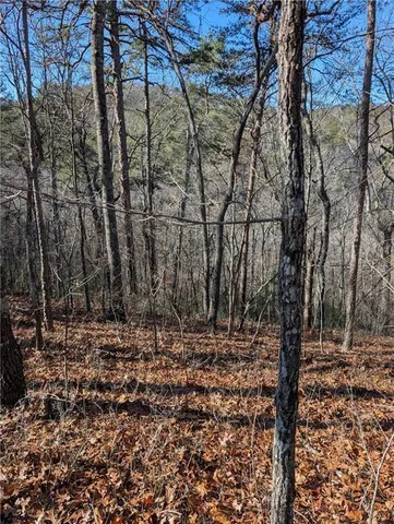 $14,000 | 1400 Foxhound Trail Northeast, Ranger, GA 30734