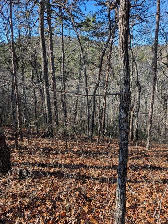 1400 Foxhound Trail Northeast Ranger, GA 30734 - Photo 6 of 19