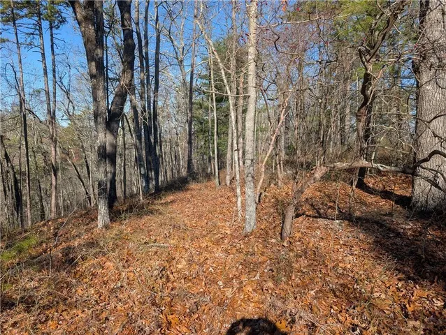 $14,000 | 1400 Foxhound Trail Northeast, Ranger, GA 30734