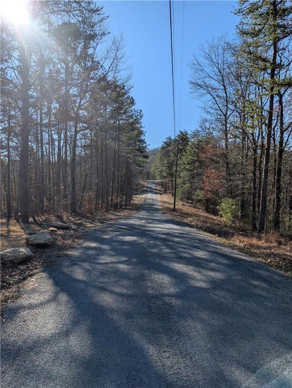 1400 Foxhound Trail Northeast Ranger, GA 30734 - Photo 10 of 19